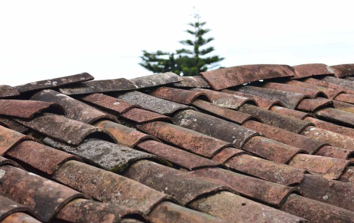 When Should I replace My Shingles?