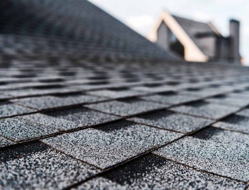 What Questions Should You Ask When Repairing My Roof?