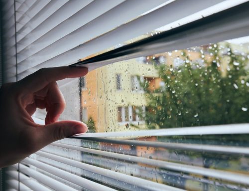 Combatting Extreme Weather: The Role of Insulated Windows