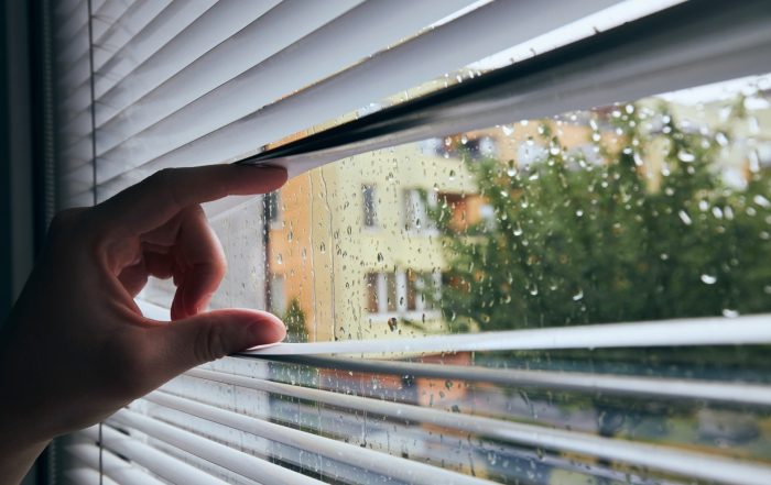 The Role of Insulated Windows