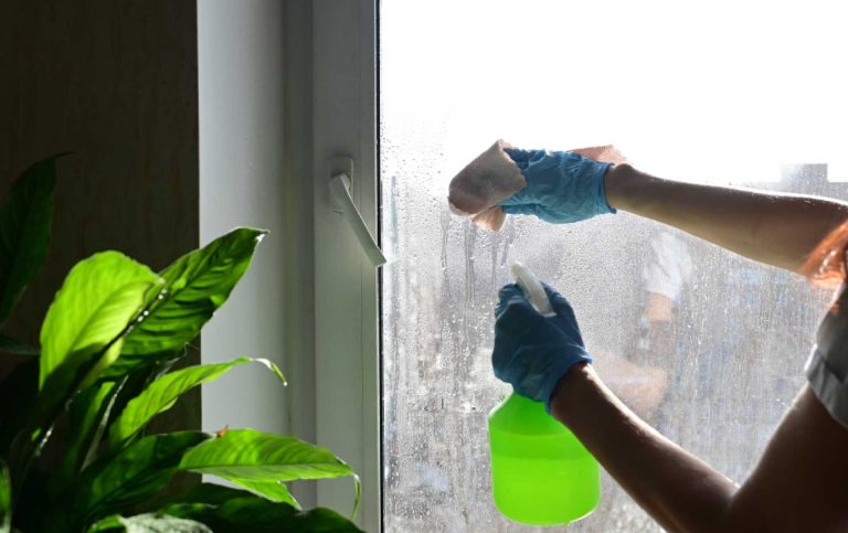 Window Maintenance - CAPOR Renovations