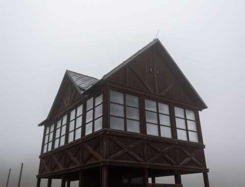Understanding Condensation and Its Impact on Windows